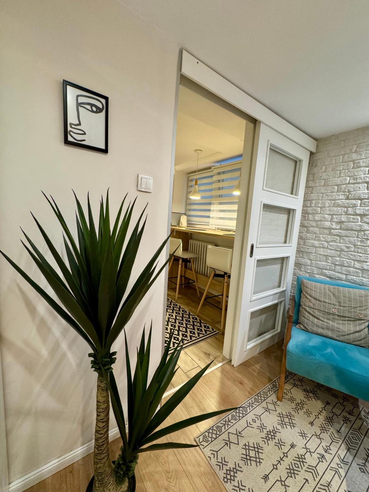 Apartmán Cozy Haven Bělehrad Exteriér fotografie